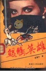 鲲鹏英雄 1989 PDF电子版封面 7207012314 凌霄子著