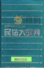 民法大辞典 1991 PDF电子版封面 7543803909 张佩霖,李启欣主编