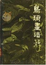 鸟类画谱 1990 PDF电子版封面 7102006446 齐兆璠编
