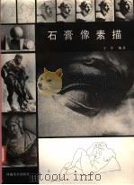 石膏像素描 1988 PDF电子版封面 7540100389 王杰编著