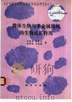 微体生物与多金属结核的生物成矿作用 1994 PDF电子版封面 7116016686 王崇友等著