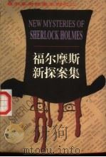 福尔摩斯新探案集 2 1998 PDF电子版封面 7506311356 (英)约翰·诺思(J.North)等著;沈师光,吴健恒译