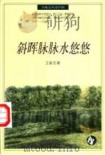 斜晖脉脉水悠悠 1996 PDF电子版封面 7538245464 王振忠著