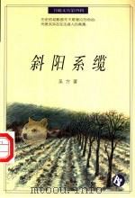 斜阳系缆 1996 PDF电子版封面 7538245383 吴方著