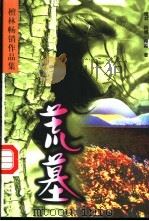 荒墓 1998 PDF电子版封面 7505929887 檀林等著