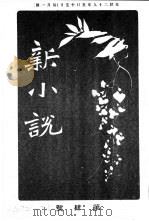 新小说  第1年第4号（ PDF版）