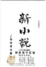 新小说  第2年第4号（ PDF版）