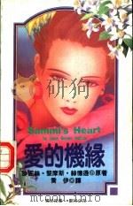 爱的机缘 1993 PDF电子版封面 7805059152 (美)赫德逊(Hudson,Janis Reams)原著;乔