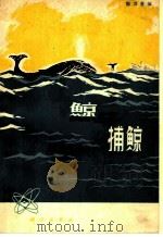 鲸与捕鲸 1978 PDF电子版封面 13031·872 陈万青编
