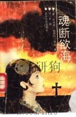 魂断欲海 1989 PDF电子版封面 7537801789 (英)詹姆斯·哈德利·蔡斯著;汪一帆译