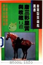 唐三彩鉴赏与收藏 1996 PDF电子版封面 7538415440 李泽奏,刘如仲主编;王健华编著