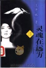 灵魂在远方   1996  PDF电子版封面  7801091094  王开林著 