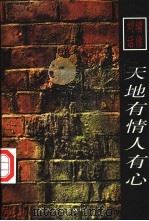 天地有情人有心 1999 PDF电子版封面 7538713247 (台湾)刘墉