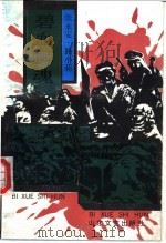 碧血狮魂 1991 PDF电子版封面 7532907163 张永安,路小莉著