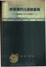 桥梁现代化深桩基础 1958 PDF电子版封面 15043·565 (苏)安德列也夫(Н.П.Андреев),(苏)郭洛郭洛夫
