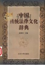 中国传统法律文化辞典 1999 PDF电子版封面 7301043023 武树臣主编