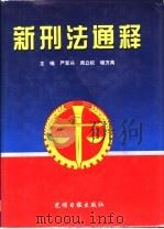 新刑法通释   1997  PDF电子版封面  7800919625  严军兴等主编 