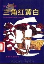三角红黄白 1991 PDF电子版封面 7503302550 韶华著