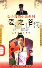 爱之谷 1993 PDF电子版封面 7532909662 赵敏著