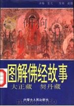 图解佛经故事 南北大藏经 1992 PDF电子版封面 7204016947 张元编译;赵明等绘画