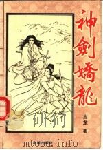 神剑娇龙 上 1993 PDF电子版封面 7536013906 古龙著