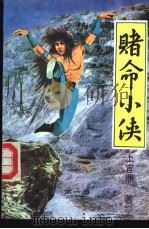 赌命小侠 1-3册 1993 PDF电子版封面 7204020960 上官鼎著