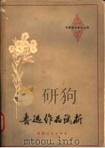 鲁迅作品试析   1981  PDF电子版封面  7094·253  仲真编著 