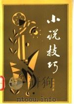 小说技巧   1992  PDF电子版封面  7500610432  傅腾霄著 