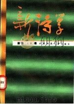 新诗学 1992.04 PDF电子版封面 756210607X 何人著