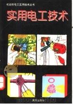 实用电工技术 1994 PDF电子版封面 7806151494 陈刚编