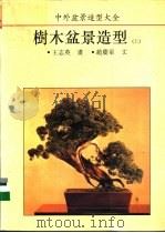 中外盆景造型大全 树木盆景造型 上 1993 PDF电子版封面 7560809286 王志英画;赵庆泉文;杨立义,莫德容译