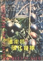 油橄榄驯化育种 1984 PDF电子版封面 16196·149 贺善安,顾姻著