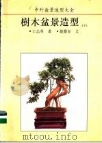 中外盆景造型大全  树木盆景造型  下   1993  PDF电子版封面  7560812015  王志英画；赵庆泉文 