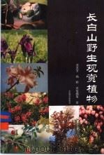 长白山野生观赏植物   1993  PDF电子版封面  7503811471  涂英芳，杨野，衣俊鹏等著 