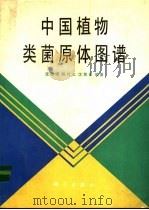 中国植物类菌原体图谱 1990 PDF电子版封面 7030017870 龚祖埙等编著