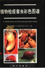 植物检疫害虫彩色图谱 1993 PDF电子版封面 7030036174 中国植物保护学会植物检疫学分会主编