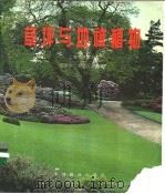 草坪与地被植物 1995 PDF电子版封面 7503813954 上海市林学会,胡中华,刘师汉编著