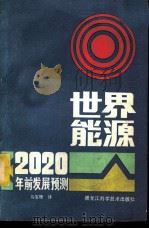 世界能源 2020年前发展预测 1982 PDF电子版封面 13217·051 (苏)Ю.Н.什达尔斯诺夫著;马宝珊译