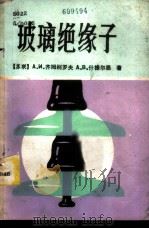 玻璃绝缘子 1981 PDF电子版封面 (苏)齐姆别罗夫(А.И.Чимберов),(苏)什捷尔恩