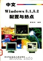中文 Windows 3.1、3.2配置与热点 1996 PDF电子版封面 7560604358 曹国钧编著
