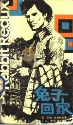 兔子回家 1990 PDF电子版封面 7536612923 (美)约翰·厄普代克著;李力,单子坚译