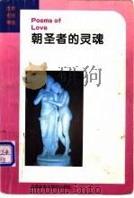 朝圣者的灵魂 1994 PDF电子版封面 7560009255 朱云奇编