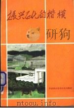 振兴石化的楷模 中国石化总公司先进集体和劳动模范事迹选编 1989 PDF电子版封面 7507402967 郭景昆主编;秦德君等编辑
