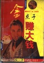 金点子赚大钱 1996 PDF电子版封面 7806155074 马金章编著