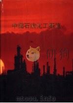 中国石油化工概览  第1卷（ PDF版）