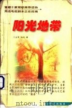 阳光地带 1998 PDF电子版封面 7801421051 立言,任之著