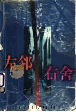 左邻右舍 1997 PDF电子版封面 7506312549 姜贻斌著