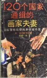 120个国家通缉的画家夫妻 1988 PDF电子版封面 7220000286 (美)彼得·李著;陈鸣峡译