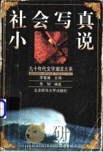 社会写真小说（1999 PDF版）