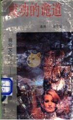 商业文化纵横 1992 PDF电子版封面 7562303908 洛湃原著;诸君编著
